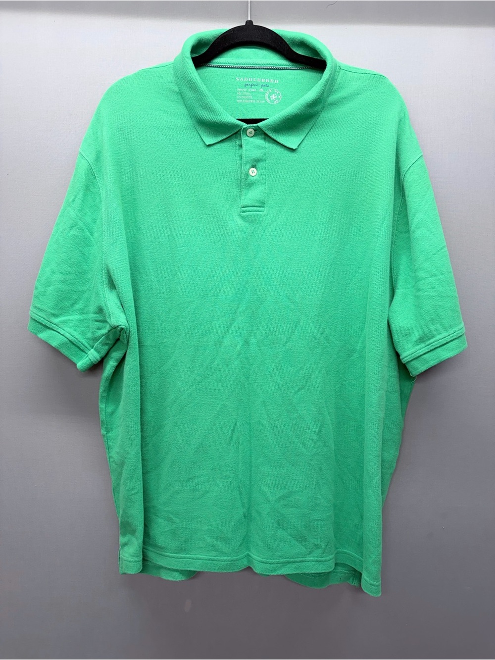 Saddlebred Men's Polo Shirt in Mint